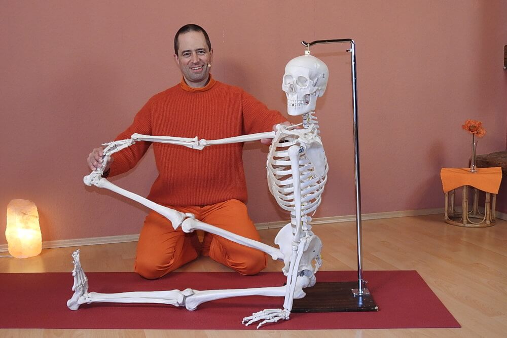 Yoga-Anatomie