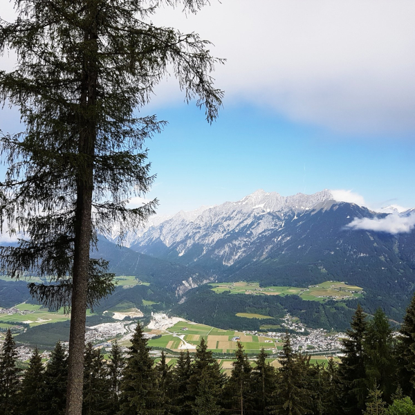 berge mit baum im vordergrund 600w