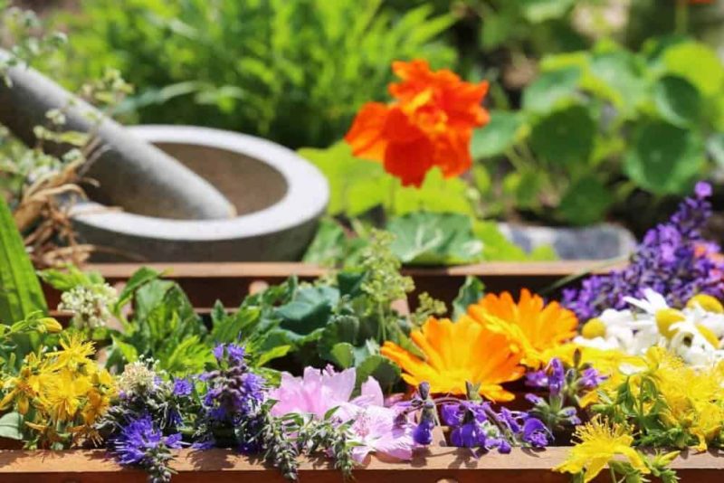 Moerser-Blumen_1000x667.jpg Moerser-Blumen_1000x667.jpg